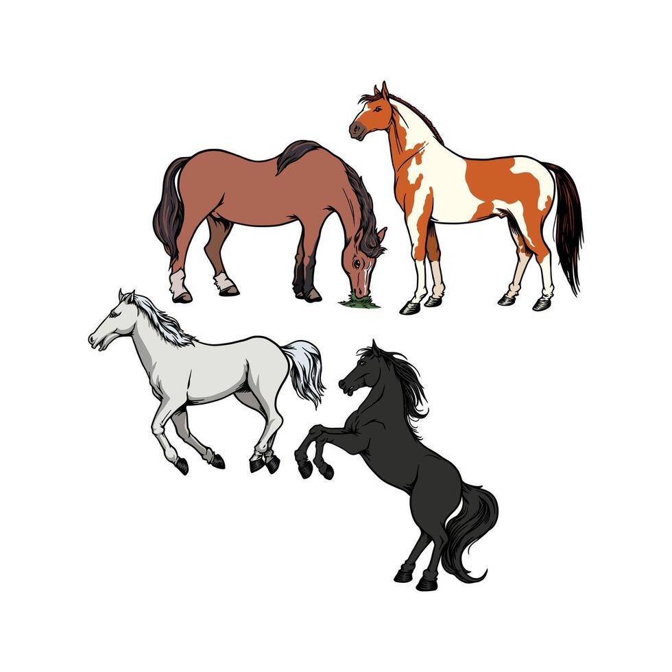 horse animal many colors vector