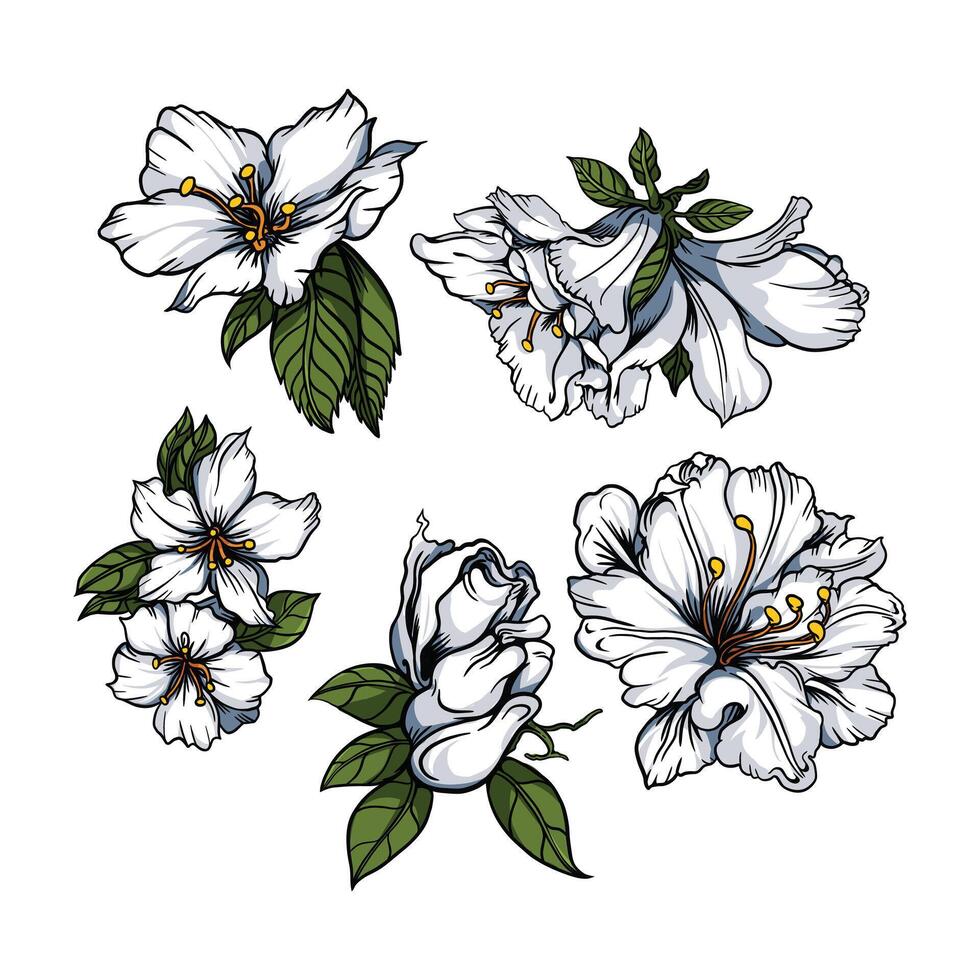 Azalea flowers easy to change text and color vector