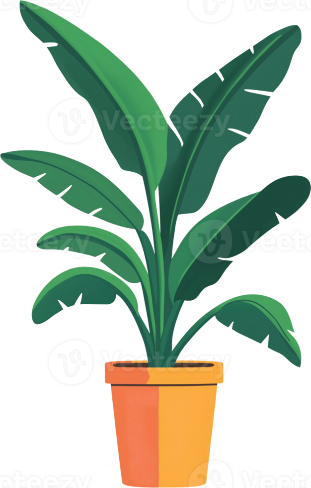 A plant in a pot with a yellow border png