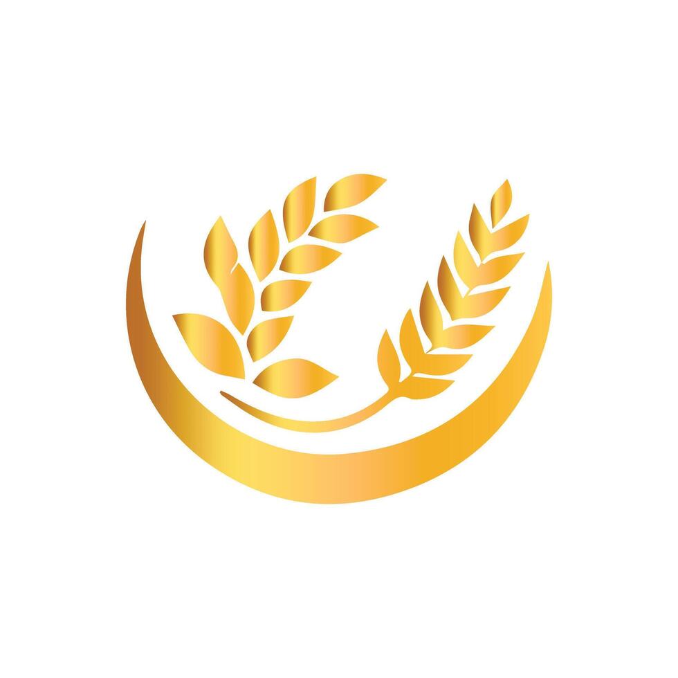 Modern Flat Wheat Collection vector