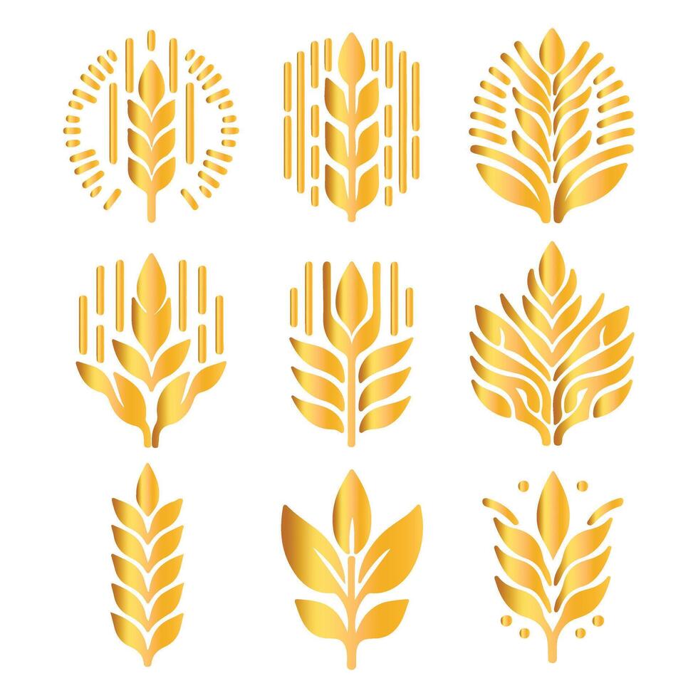 Creative Flat Wheat Collection Design vector