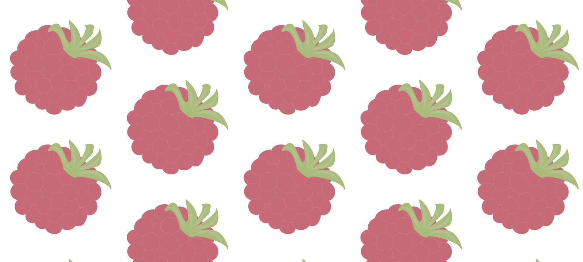 Pattern raspberry berry on a white background. vector