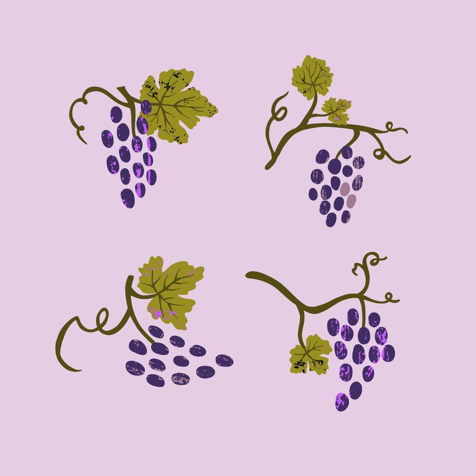 Set of grape branches isolated on a white background. Illustration for menu, banner, poster. vector