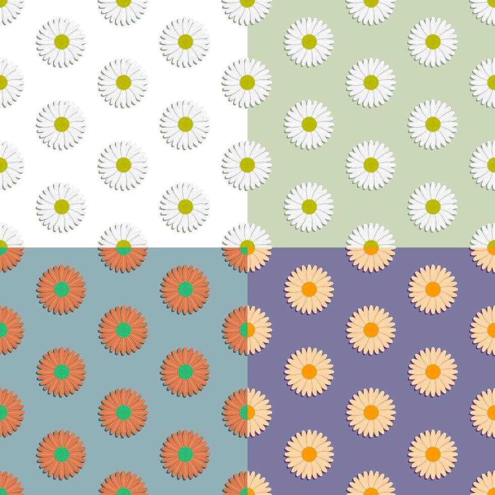 set of seamless patterns with chamomile flower. Summer flower. Ornament for decoration and printing on fabric. Design element. image oct vector