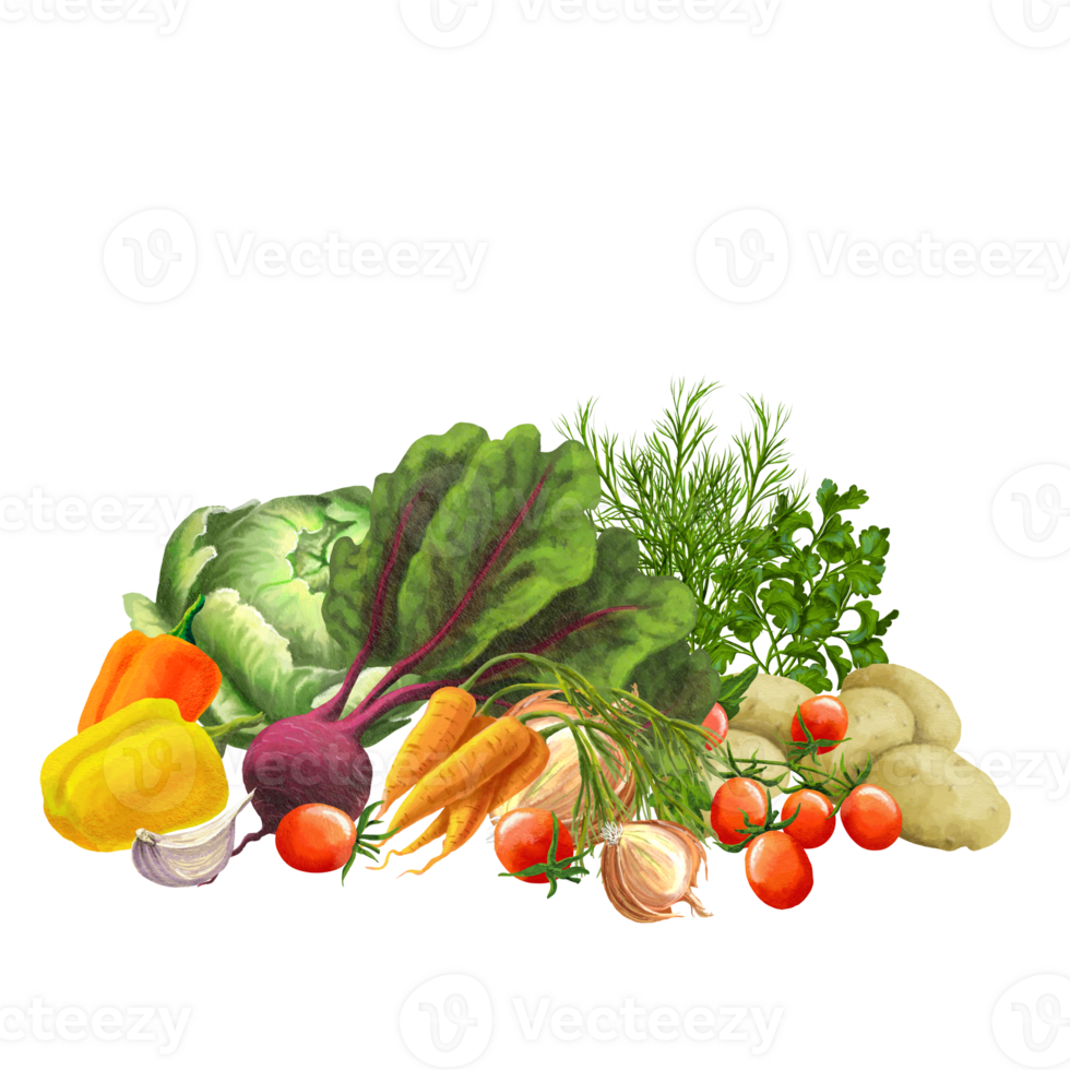 a set of farm vegetables png