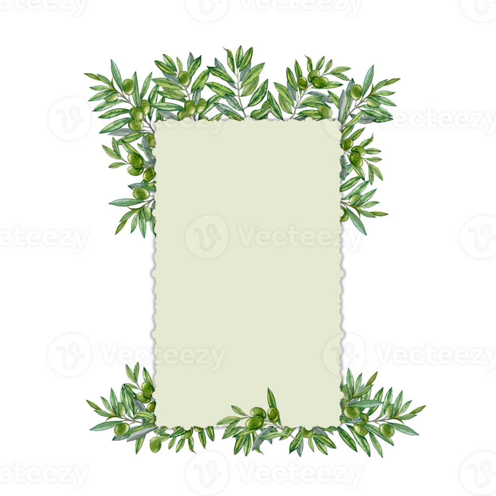 Hand painted vertical label with vintage edges and olive branches png