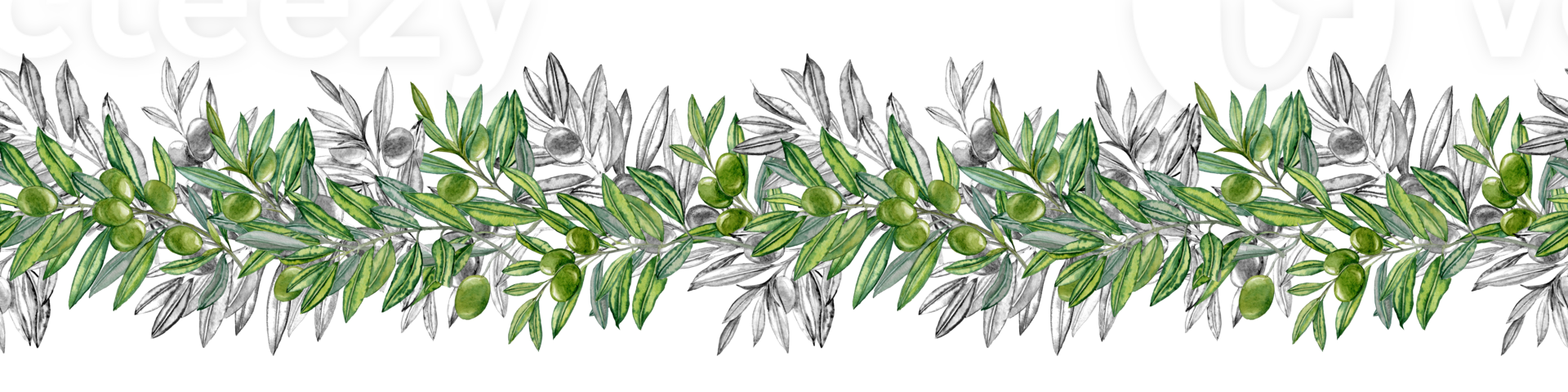 Decorative Olives jointless Border png