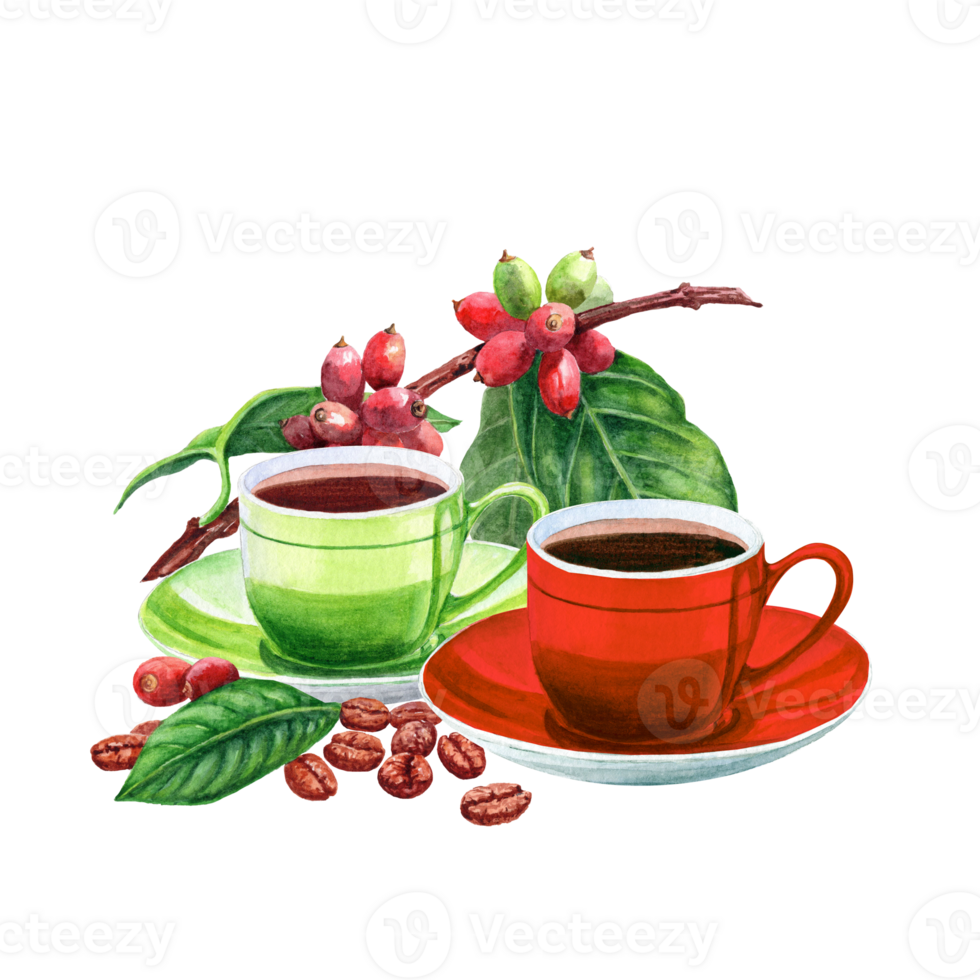 Watercolor illustration whith a couple cup of coffee and coffee beanes on a branch png