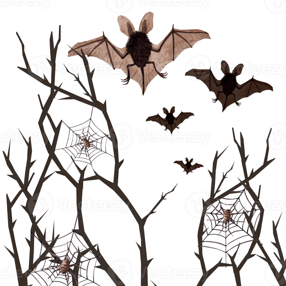 Watercolor Halloween illustration with flying bats and black branches with webs and spiders png