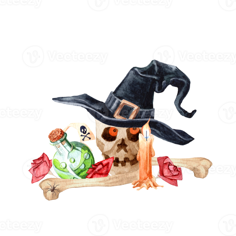 Illustration on the theme of Halloween Watercolour with helloween' atributes png
