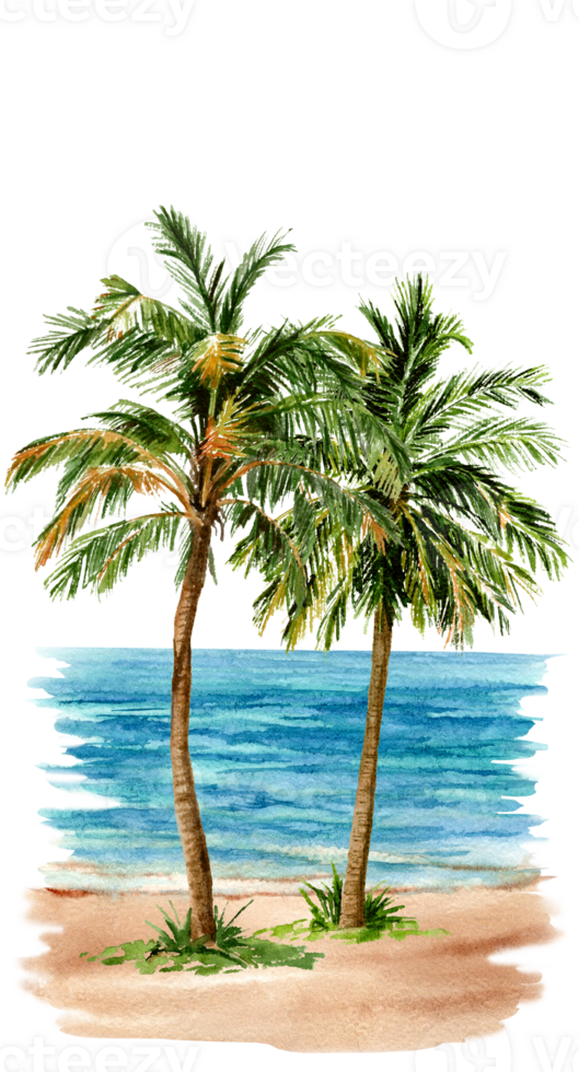 hand drawn Palm trees on the Seashore png