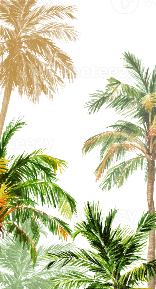 Hand drawn aquarelle palms, illustration for Card or publications png