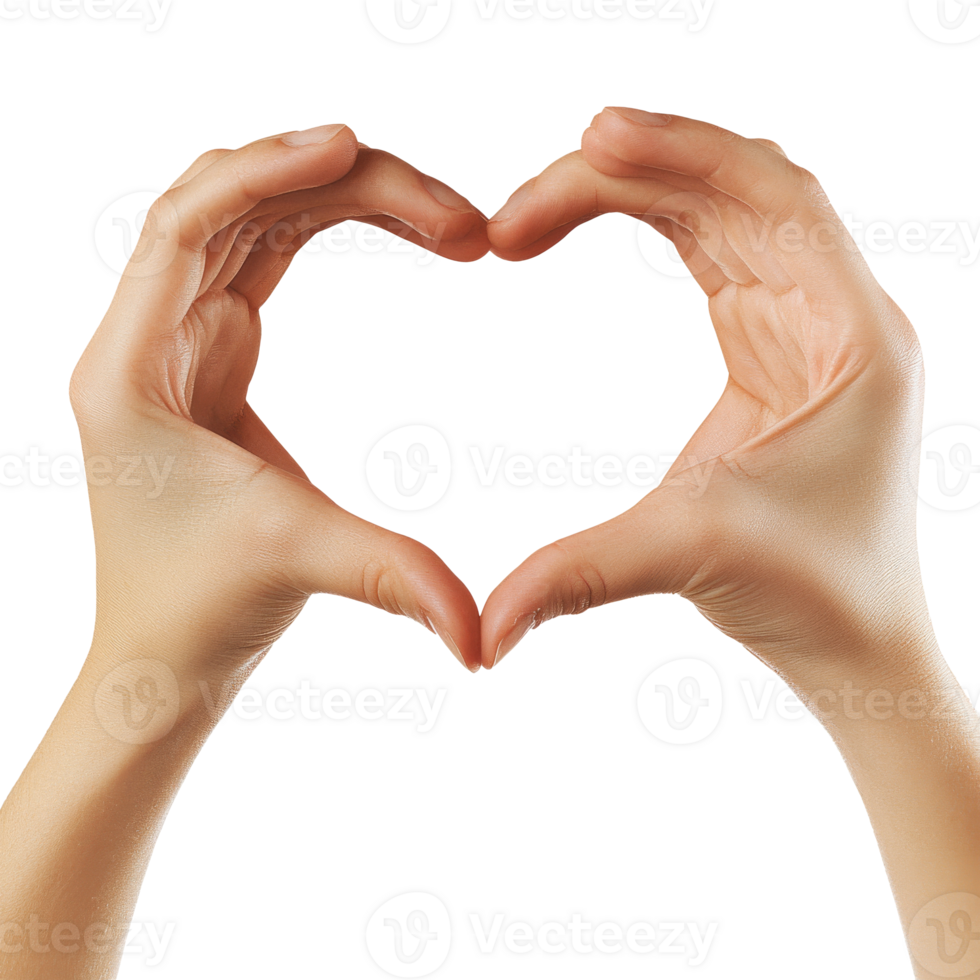 Hands in heart shape on white background transparent png