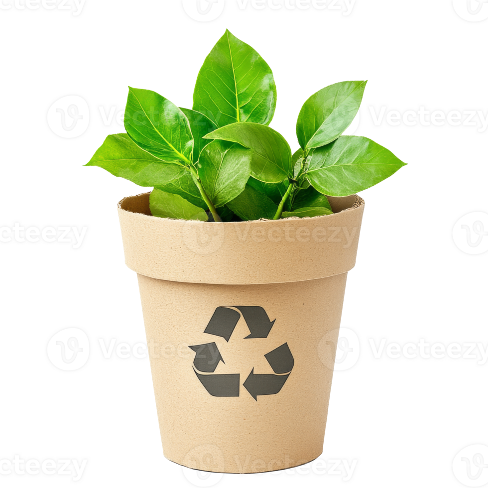 Use a paper pot on a light surface transparent png