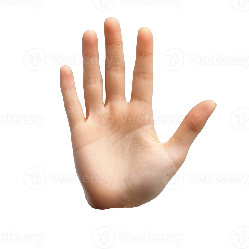 Open hand gesture against a white background transparent png