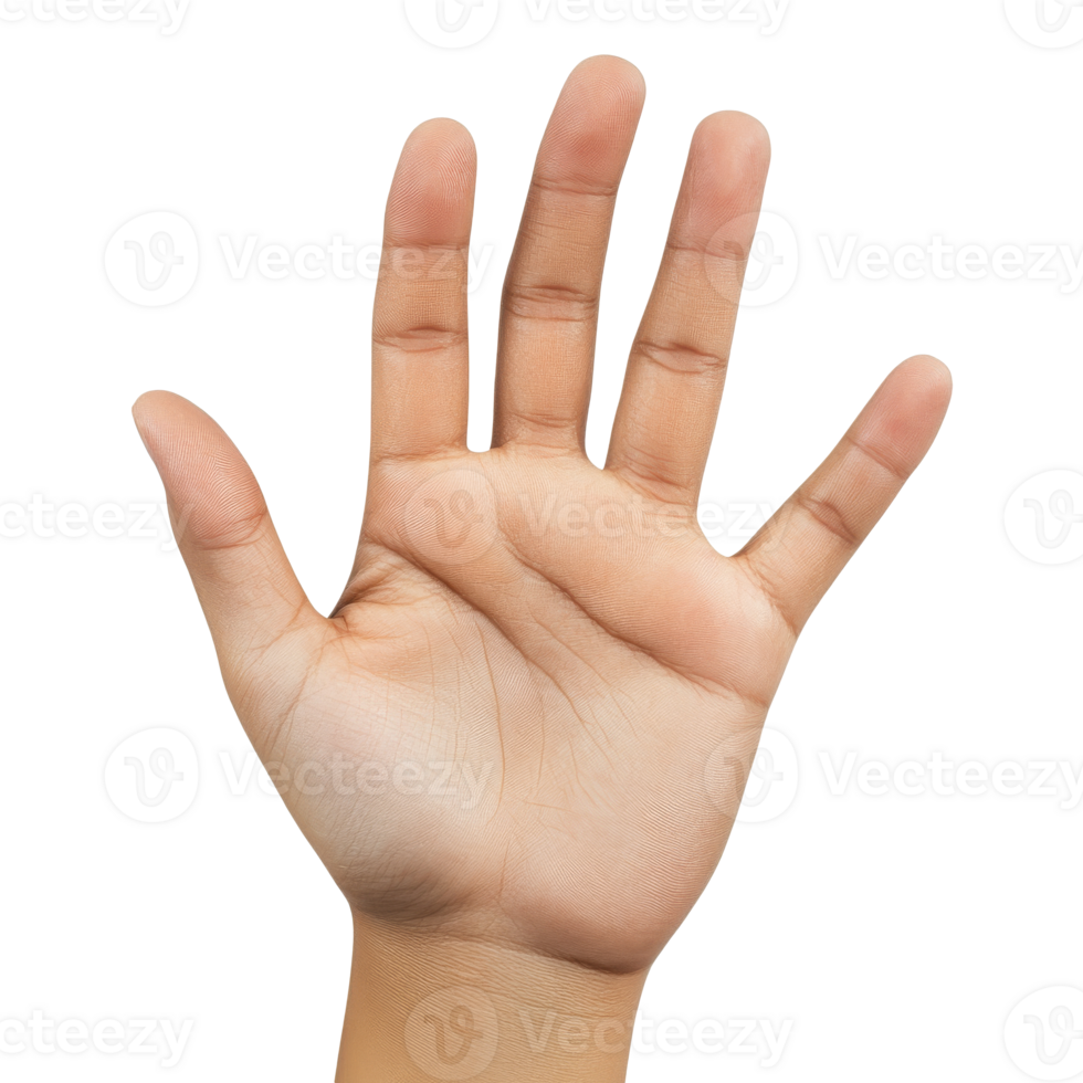 gest av ett öppen hand mot en vit bakgrund transparent png