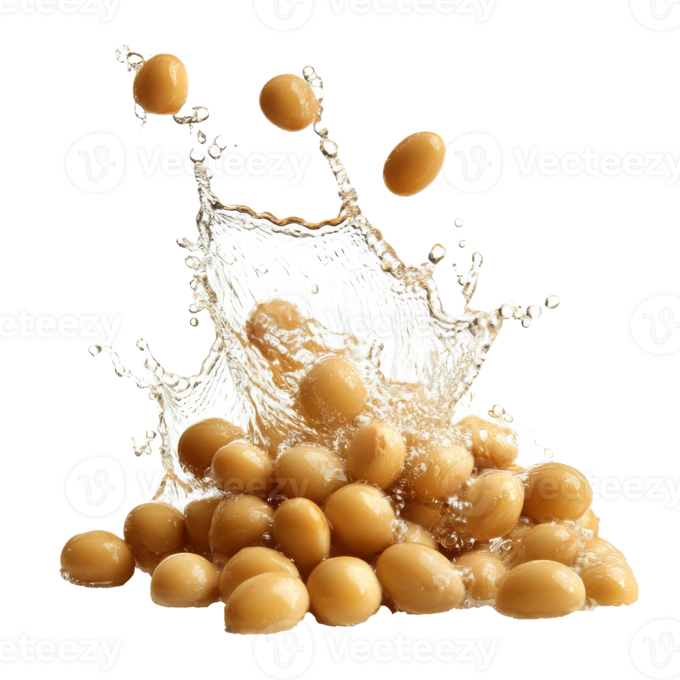 Soybeans splashing in water on a white background transparent png