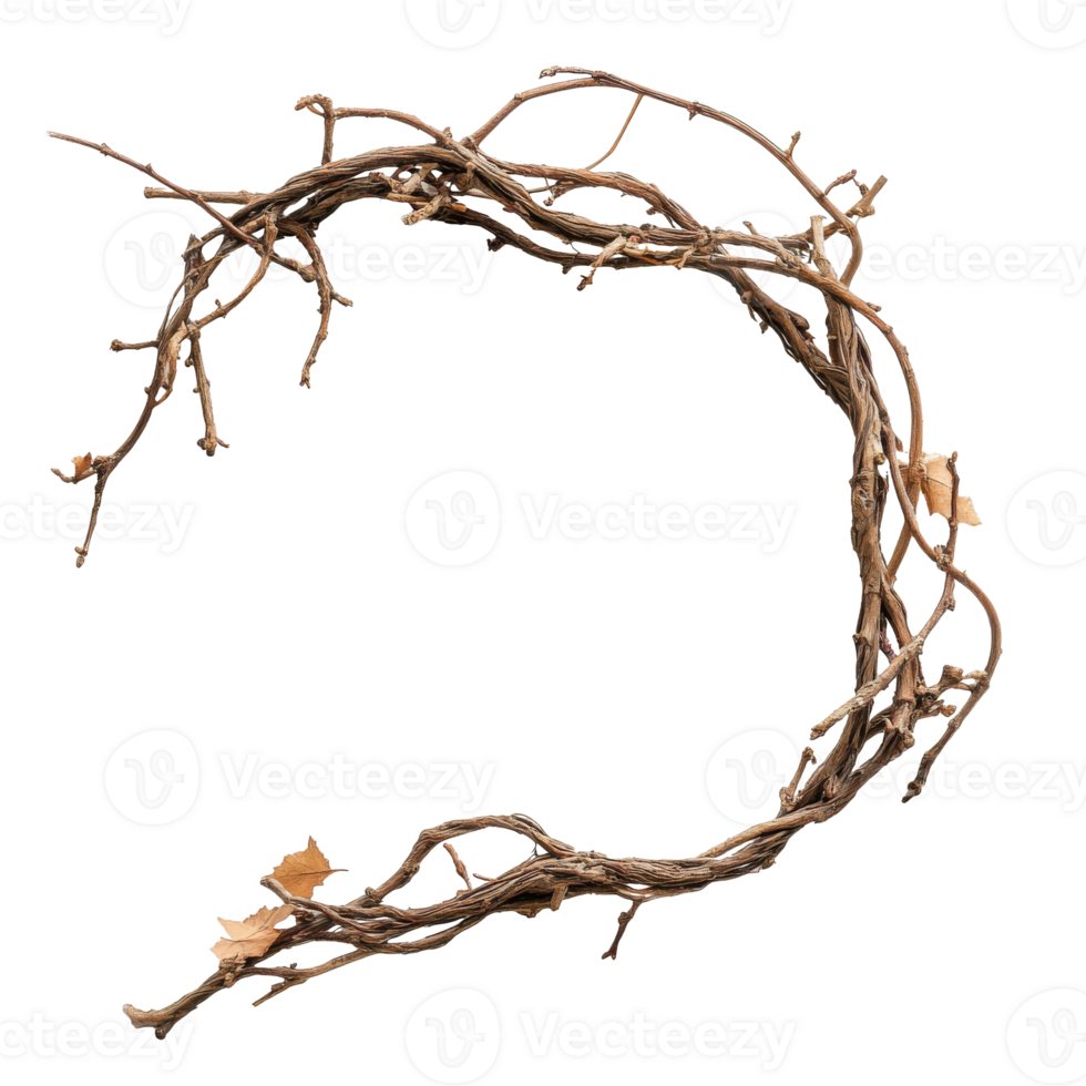 Natural vine wreath with dried leaves in autumn transparent png