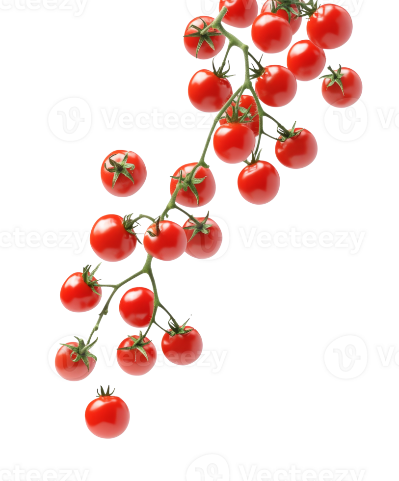 Vine ripened cherry tomatoes on white transparent png