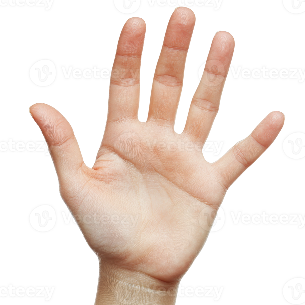 Open hand gesture against a plain background transparent png