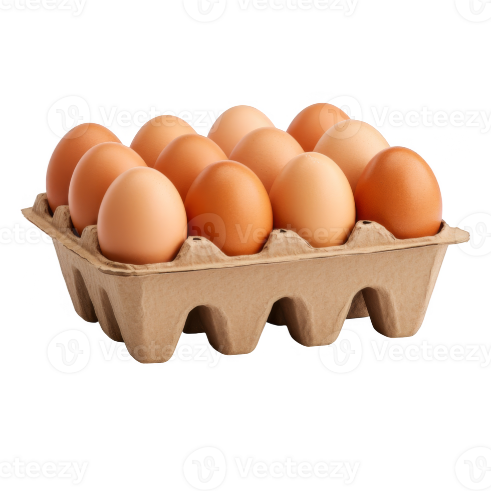 A Dozen Brown Eggs in a Cardboard Carton png