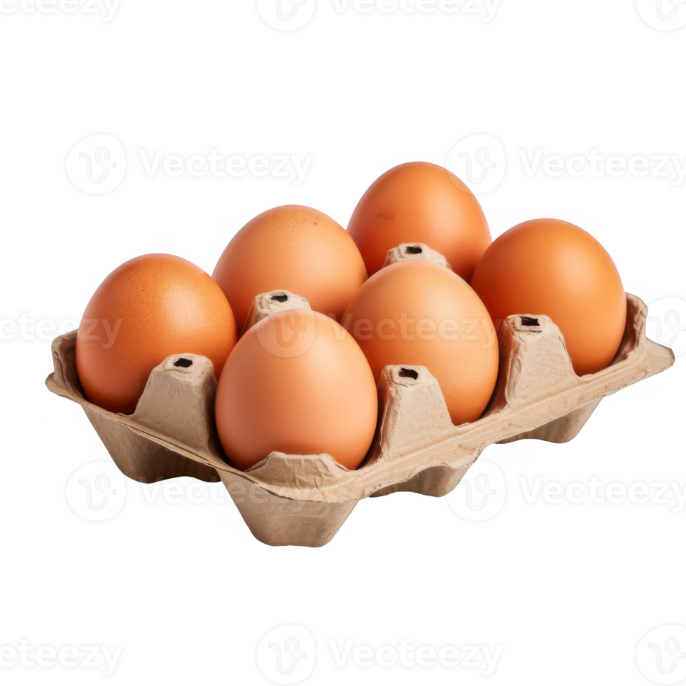 Eggs In Carton Isolated on a Transparent Background png