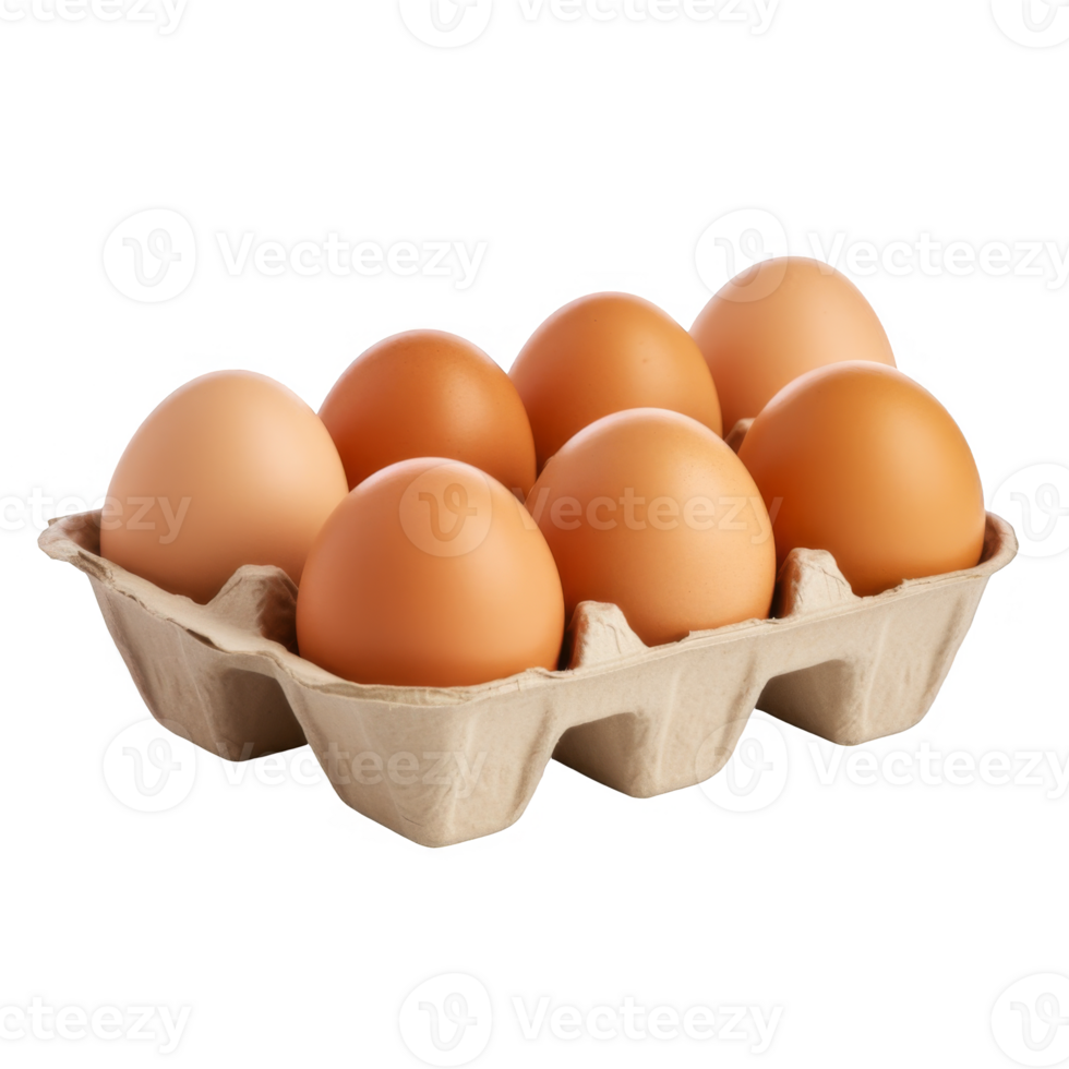 Six Brown Eggs in a Cardboard Carton png