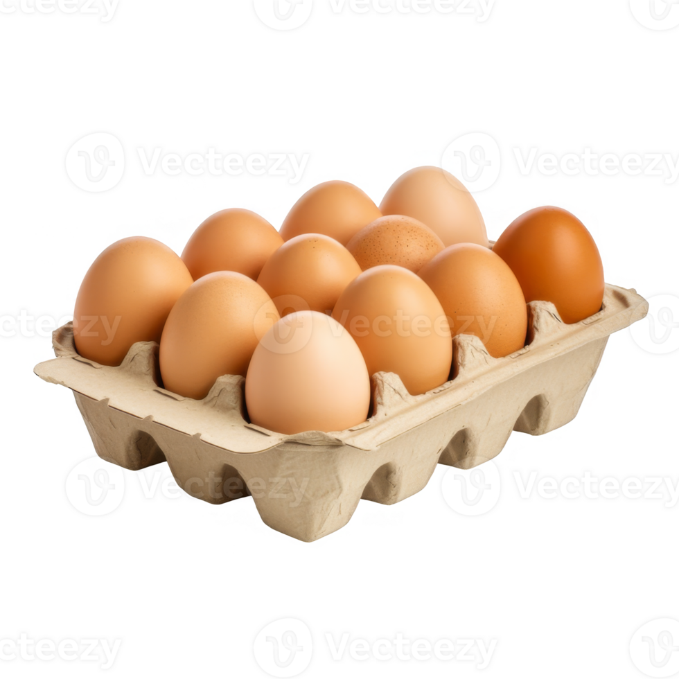A Dozen Brown Eggs in a Cardboard Carton png