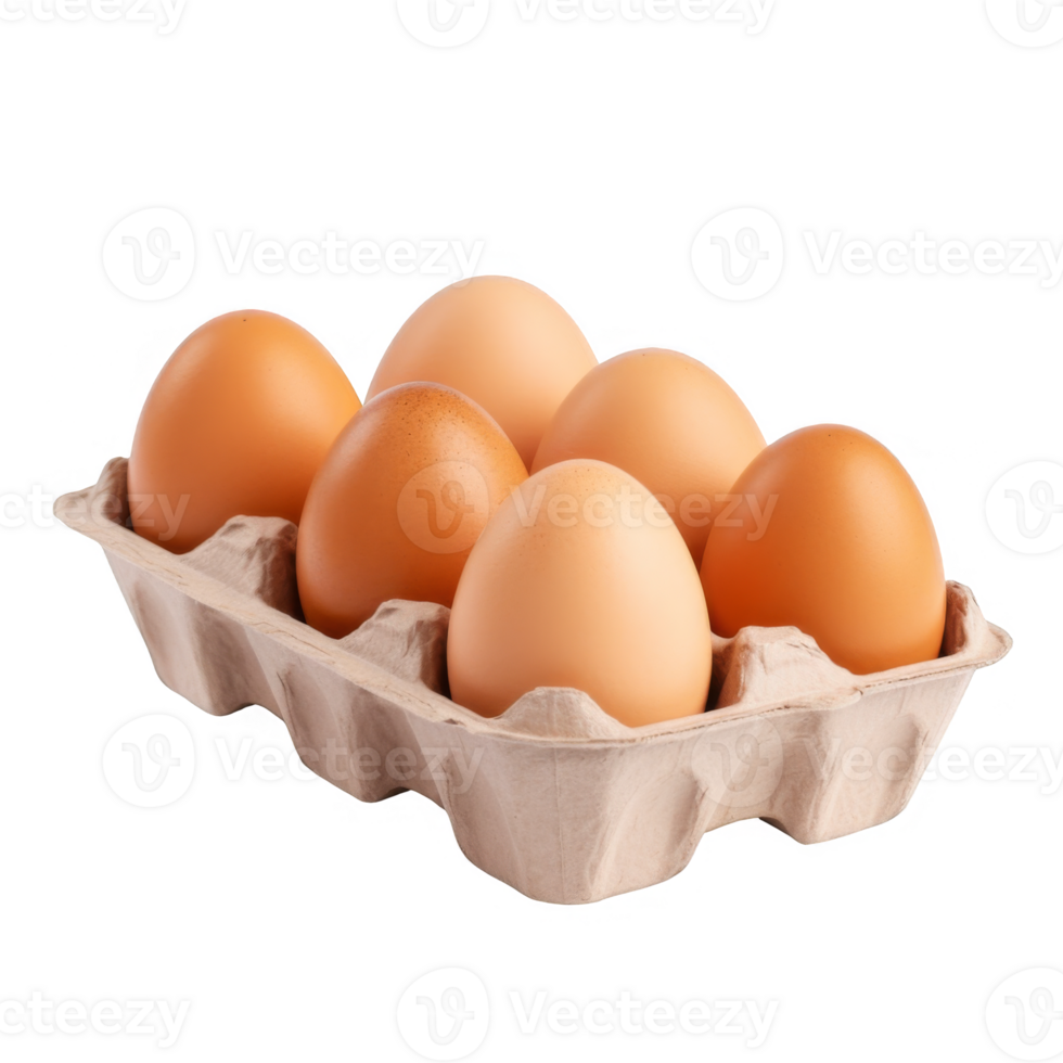 Six Brown Eggs in a Cardboard Carton png
