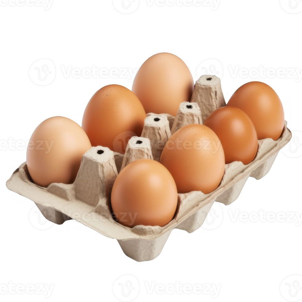 Brown Eggs in a Cardboard Carton on a transparent background png