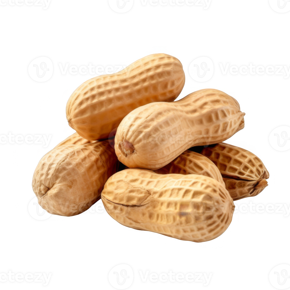 A Group of Shelled Peanuts on a transparent background png