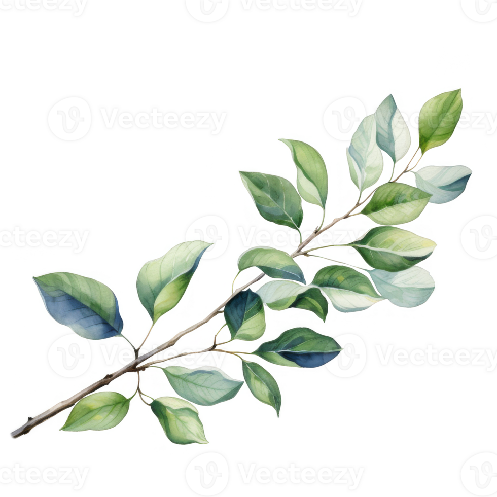 Watercolor Painting of a Branch with Green Leaves png