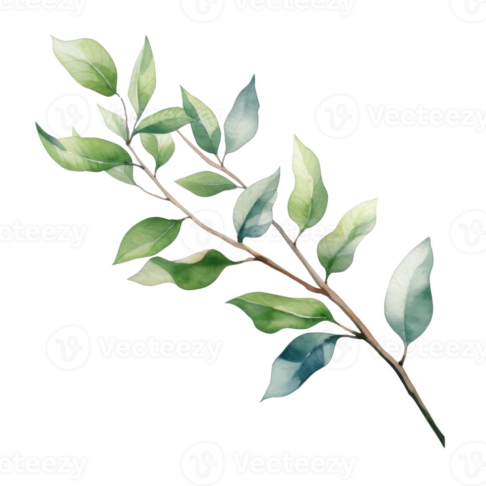 Watercolor Painting of a Branch with Green Leaves png