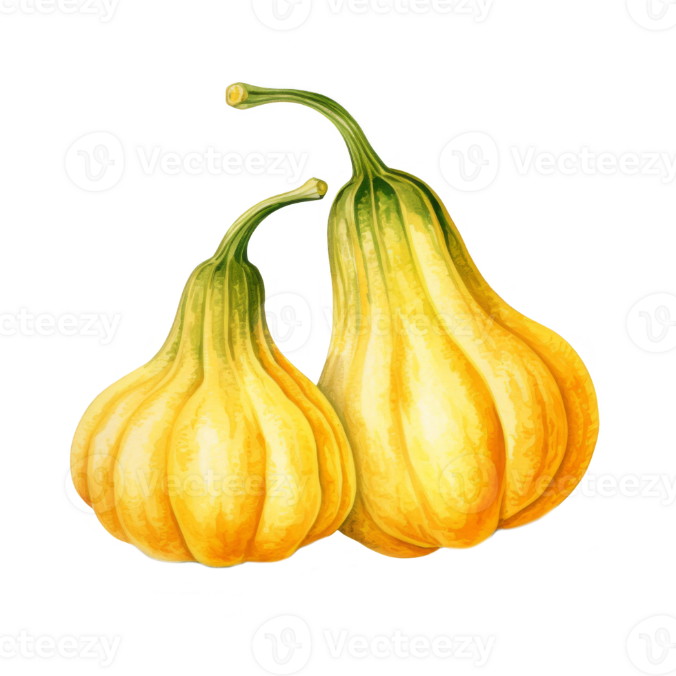 Two Yellow Pumpkins with Green Stems and a Single Leaf png