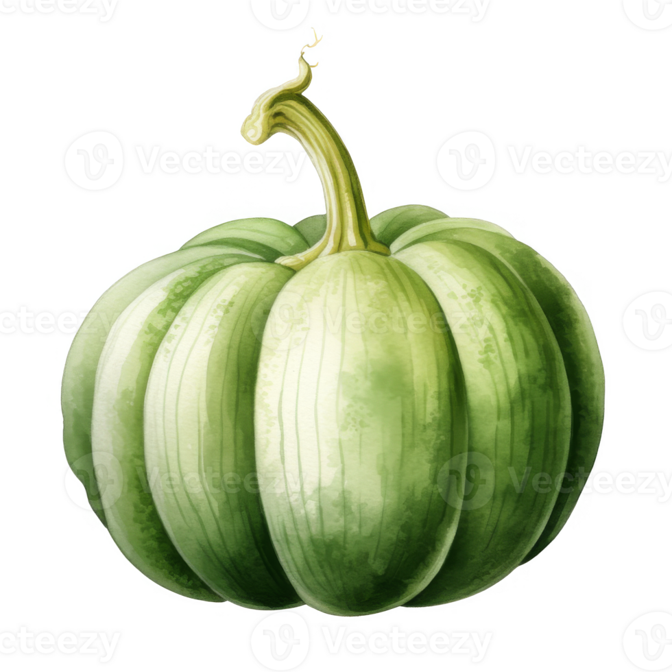 Watercolor Illustration of a Green Pumpkin with a Twisted Stem png