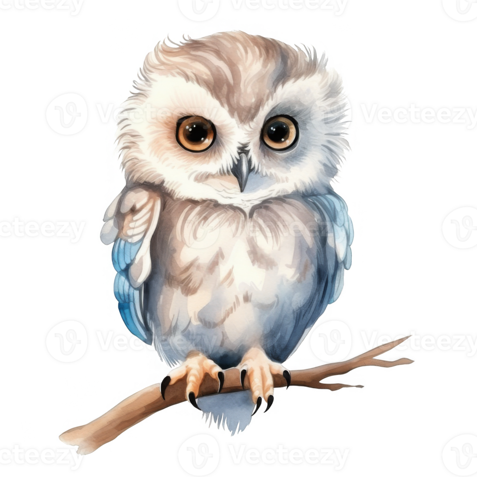 Watercolor illustration of a gray owl perched on a branch png