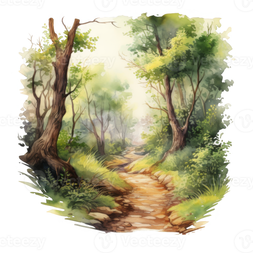 Watercolor Illustration of a Path Through a Lush Forest png