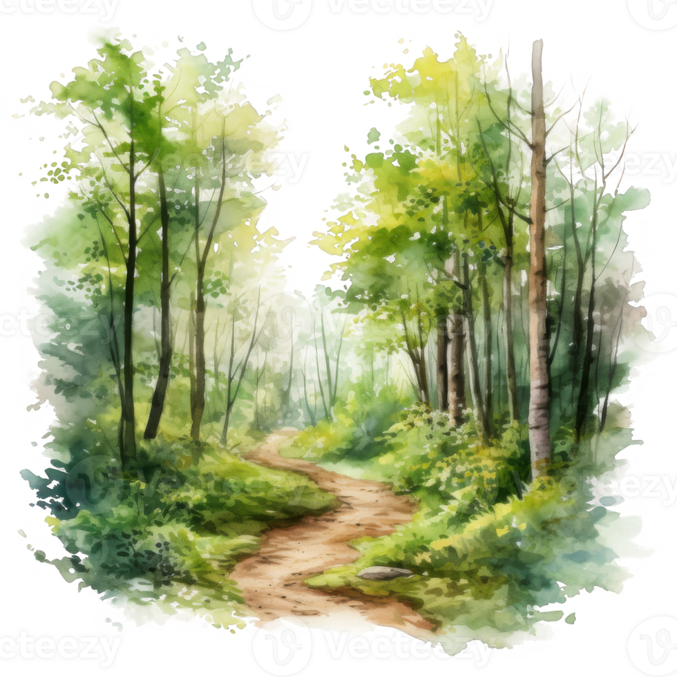 Watercolor Painting of a Winding Path Through a Green Forest png