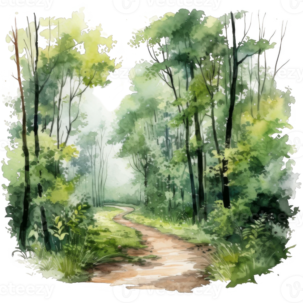 Watercolor Painting of a Winding Path Through a Lush Forest png