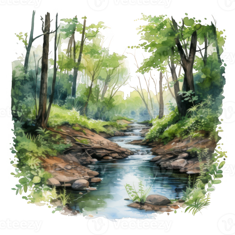 Watercolor Painting of a Stream Flowing Through a Lush Forest png