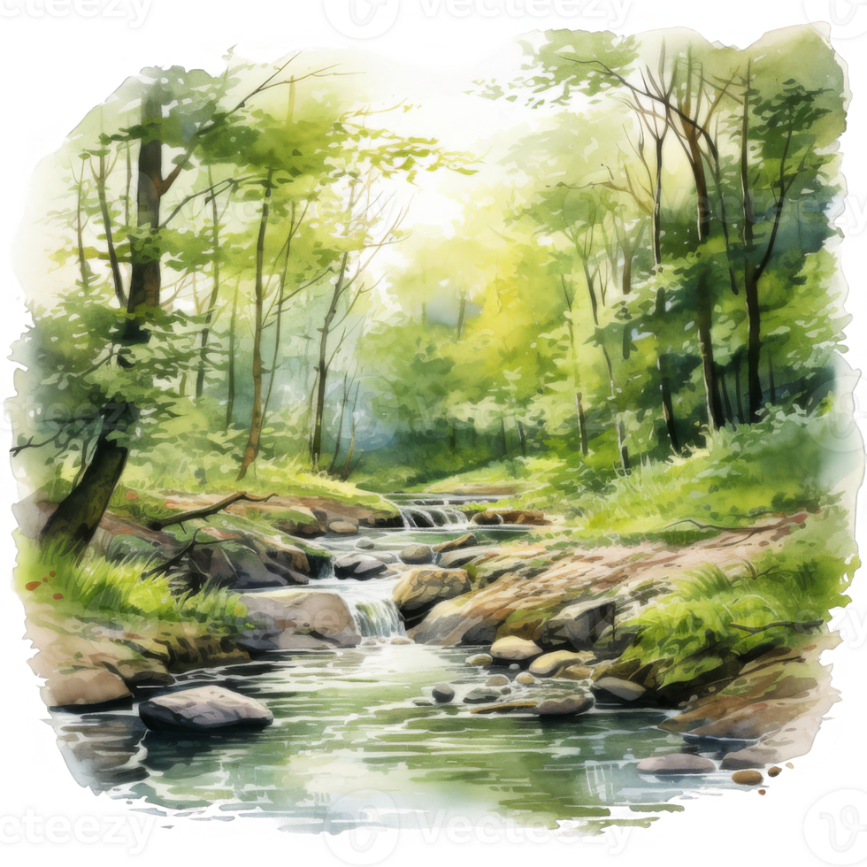 Watercolor Painting of a Stream Flowing Through a Forest png
