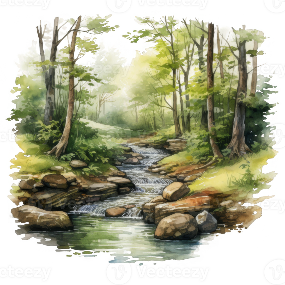 Watercolor painting of a stream flowing through a lush green forest png