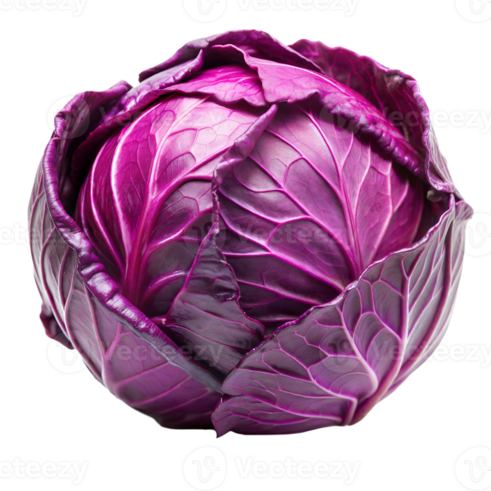 A vibrant purple cabbage on a clean white background. png