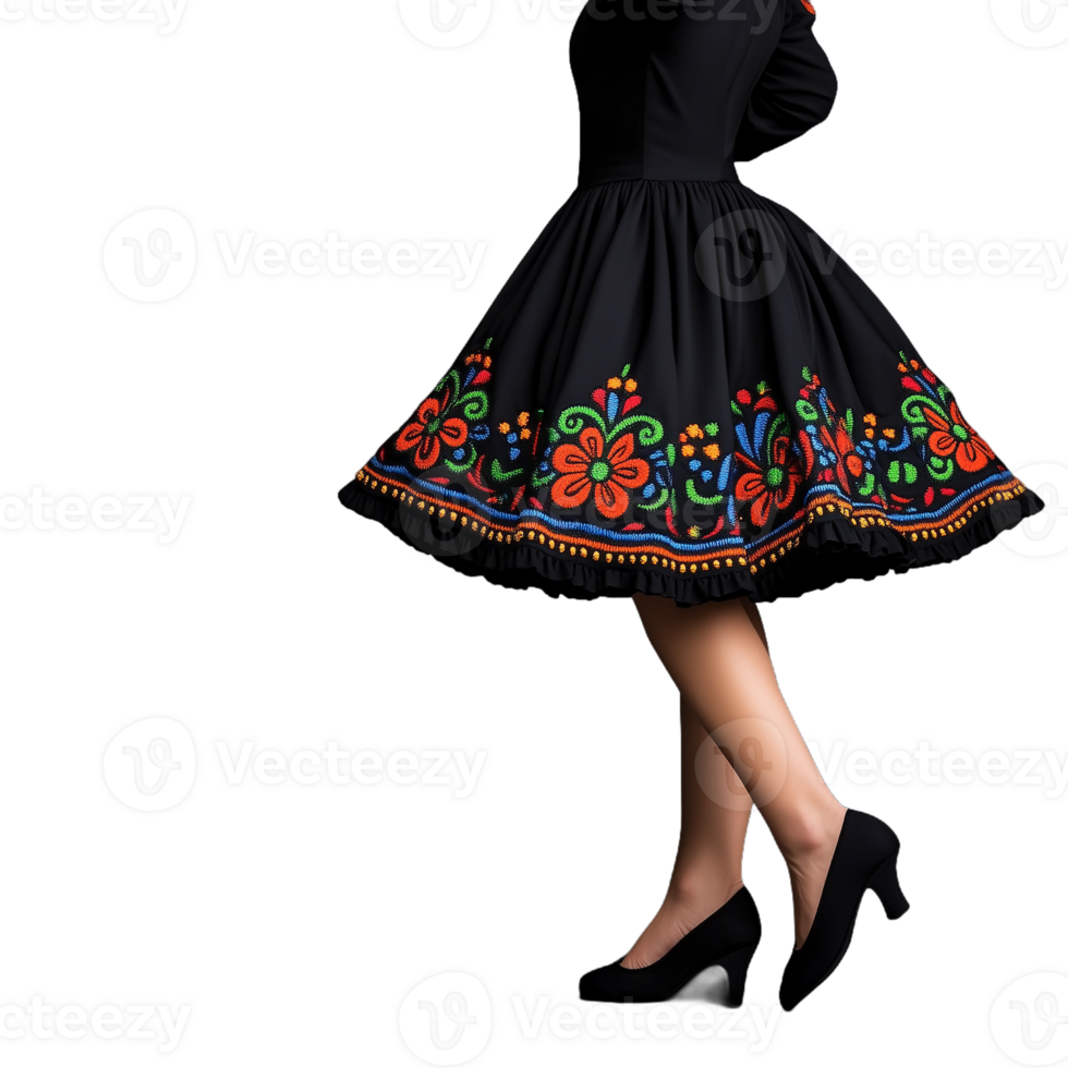 Woman wearing a black skirt with colorful floral embroidery, isolated on transparent background png