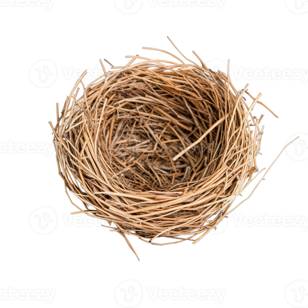 Empty bird nest made of twigs placed on a transparent background png