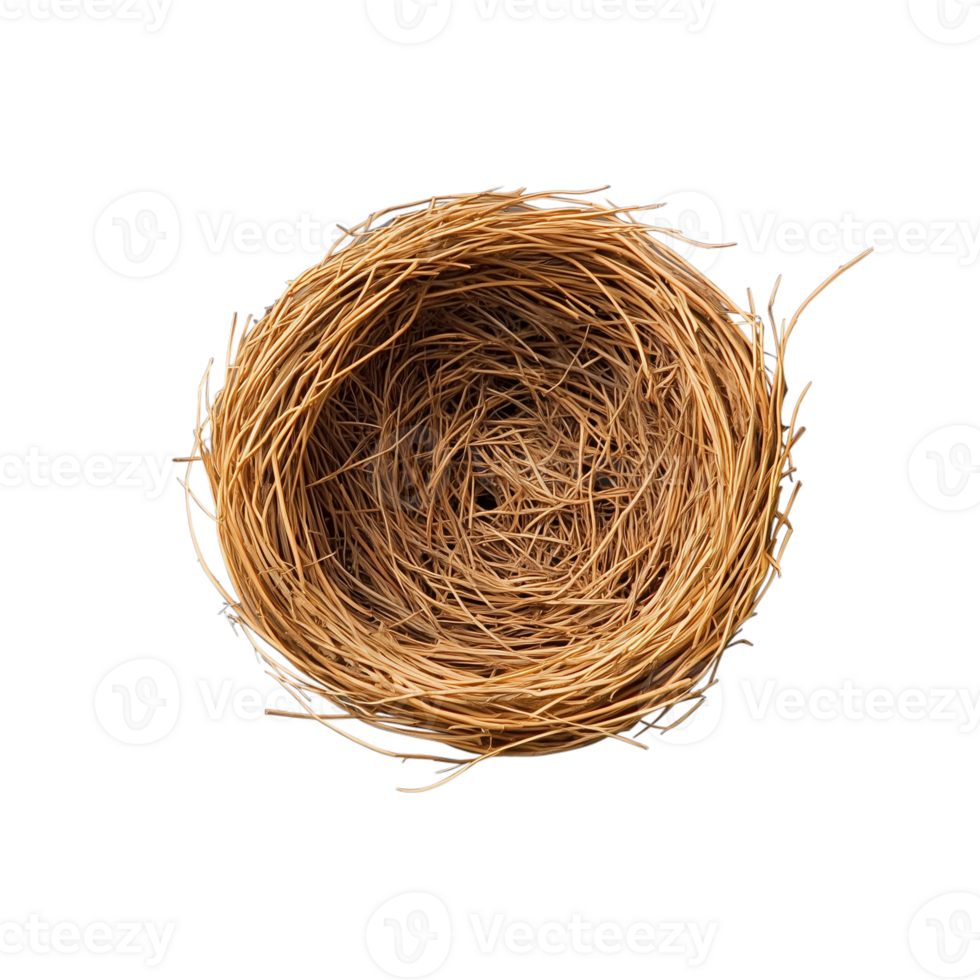 Empty bird nest made of twigs placed on a transparent background png