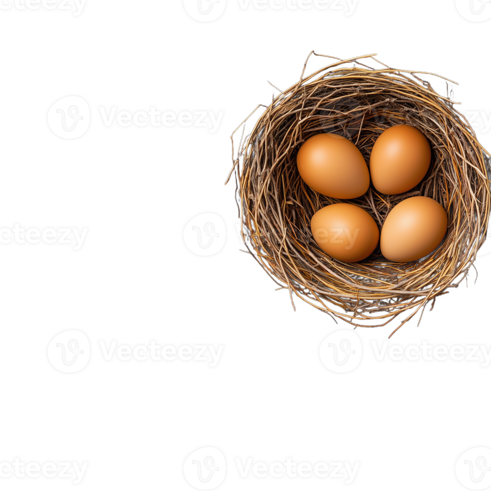 Three brown eggs placed in a woven birds nest on a transparent background png