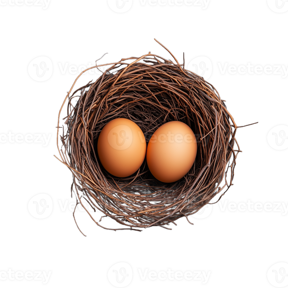 Two brown eggs resting in a small woven birds nest on a transparent background png