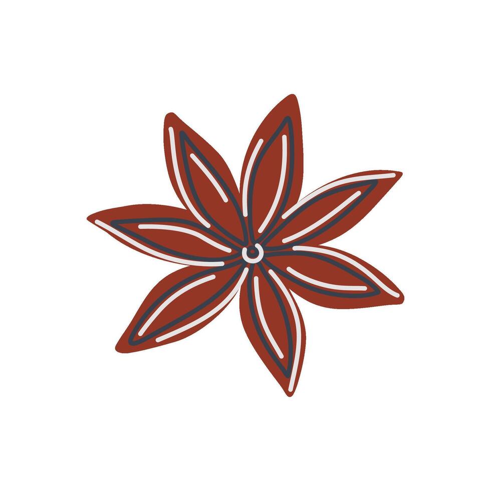 Star anise. Indian spice for food and drink. Badian seed for mulled wine. Hand drawn flat design illustration. vector