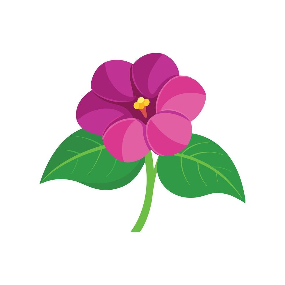 Gloxinia flower isolated flat illustration on white background vector